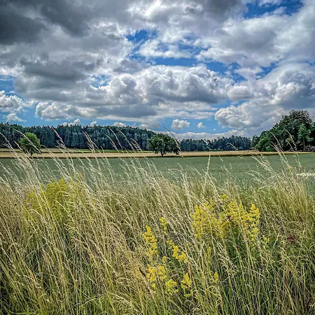 Heumanns Blockhaeuser Am Wald 波滕施泰因